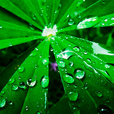 ddos攻击器安卓ios下载