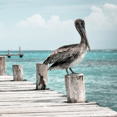 折扣优惠便宜的DDOS在线压力测试