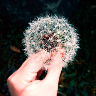 DDOS压力测试网页端